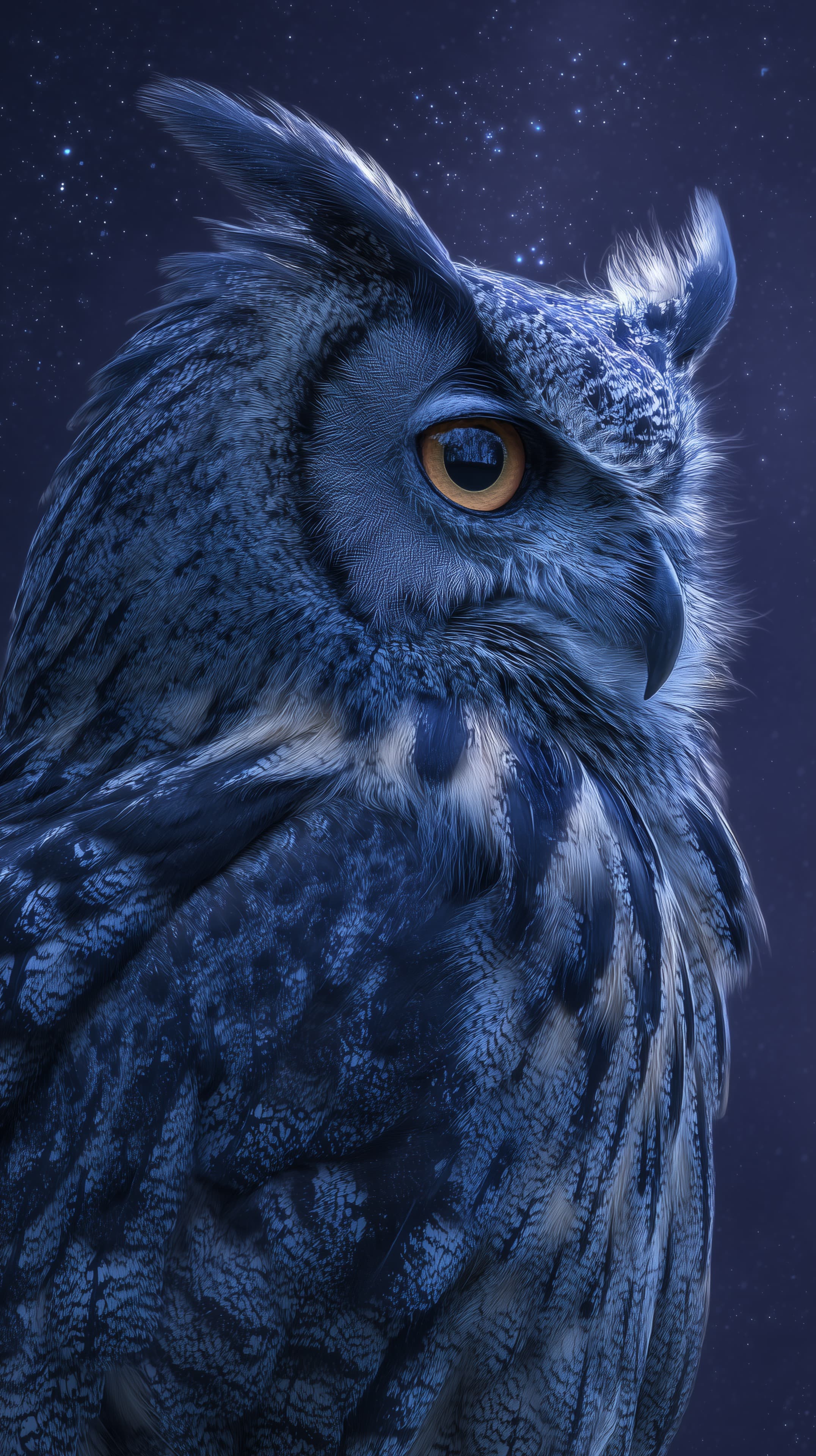 Blue Night Owl Close-Up - Fantasy Nature Wallpaper Artwork - High Resolution blue Wallpaper for Mobile and Desktop