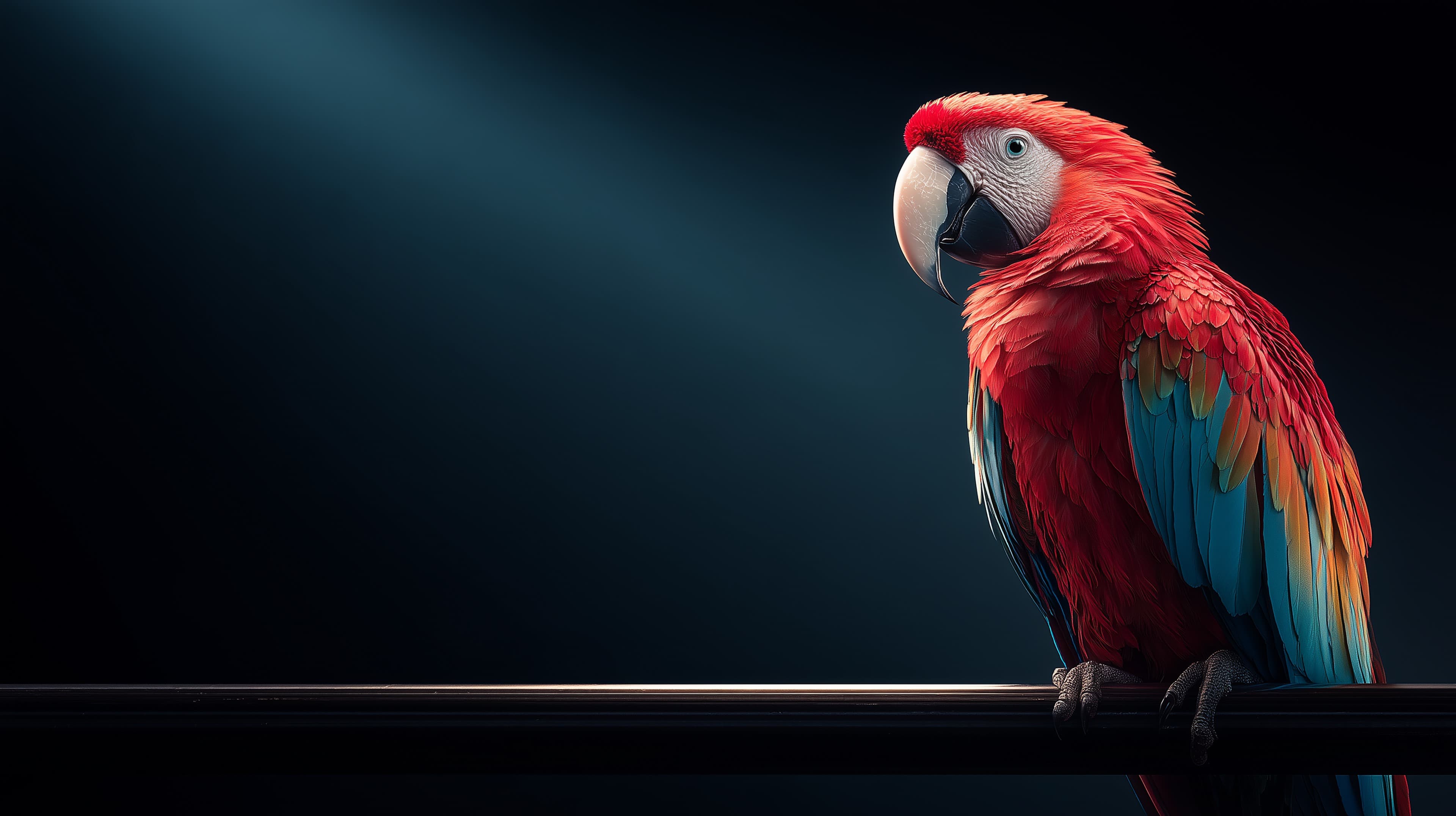 Vivid Red Macaw on a Dark Spotlighted Backdrop, Elegant Perch - High Resolution parrot Wallpaper for Mobile and Desktop