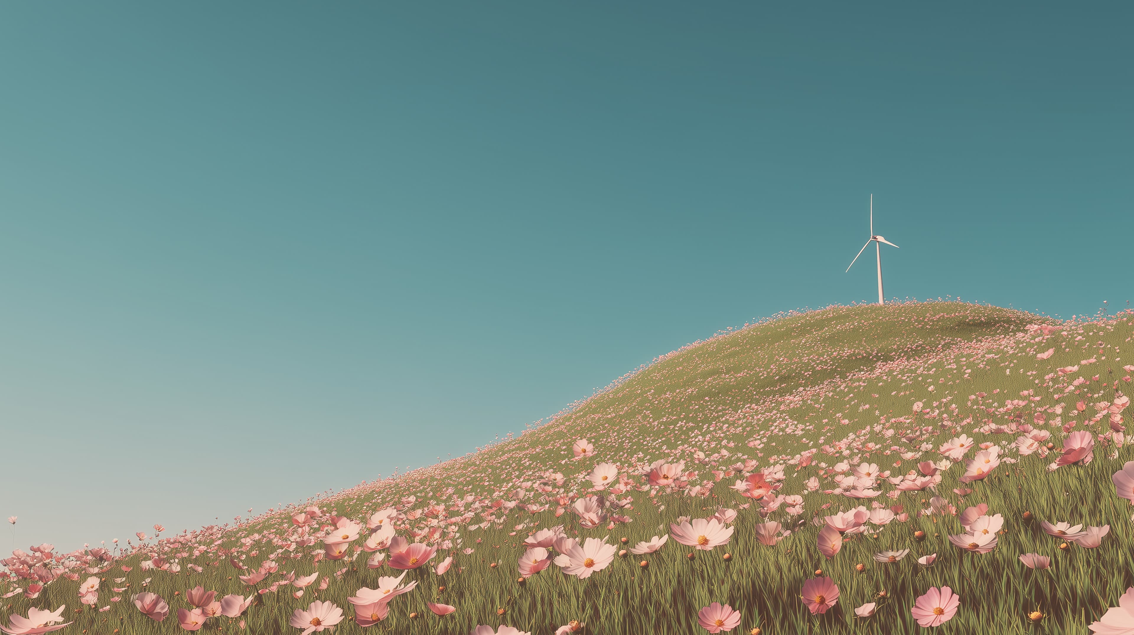 Tranquil Hilltop Bloom Field with a Wind Turbine Scene - High Resolution blue-sky Wallpaper for Mobile and Desktop