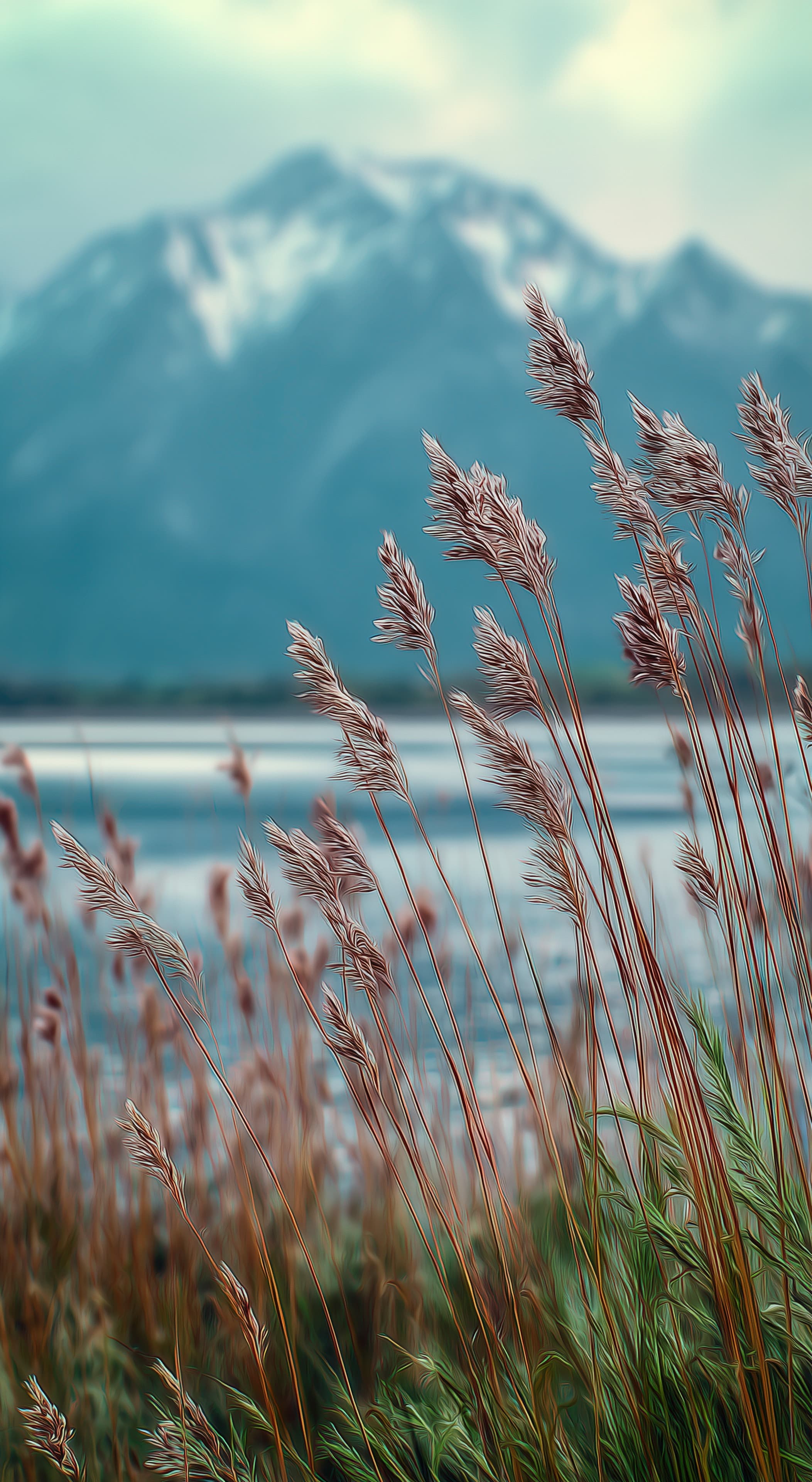 Soft Focus Reed Field by Mountain Lake – Serene Nature Wallpaper - High Resolution blue-tones Wallpaper for Mobile and Desktop