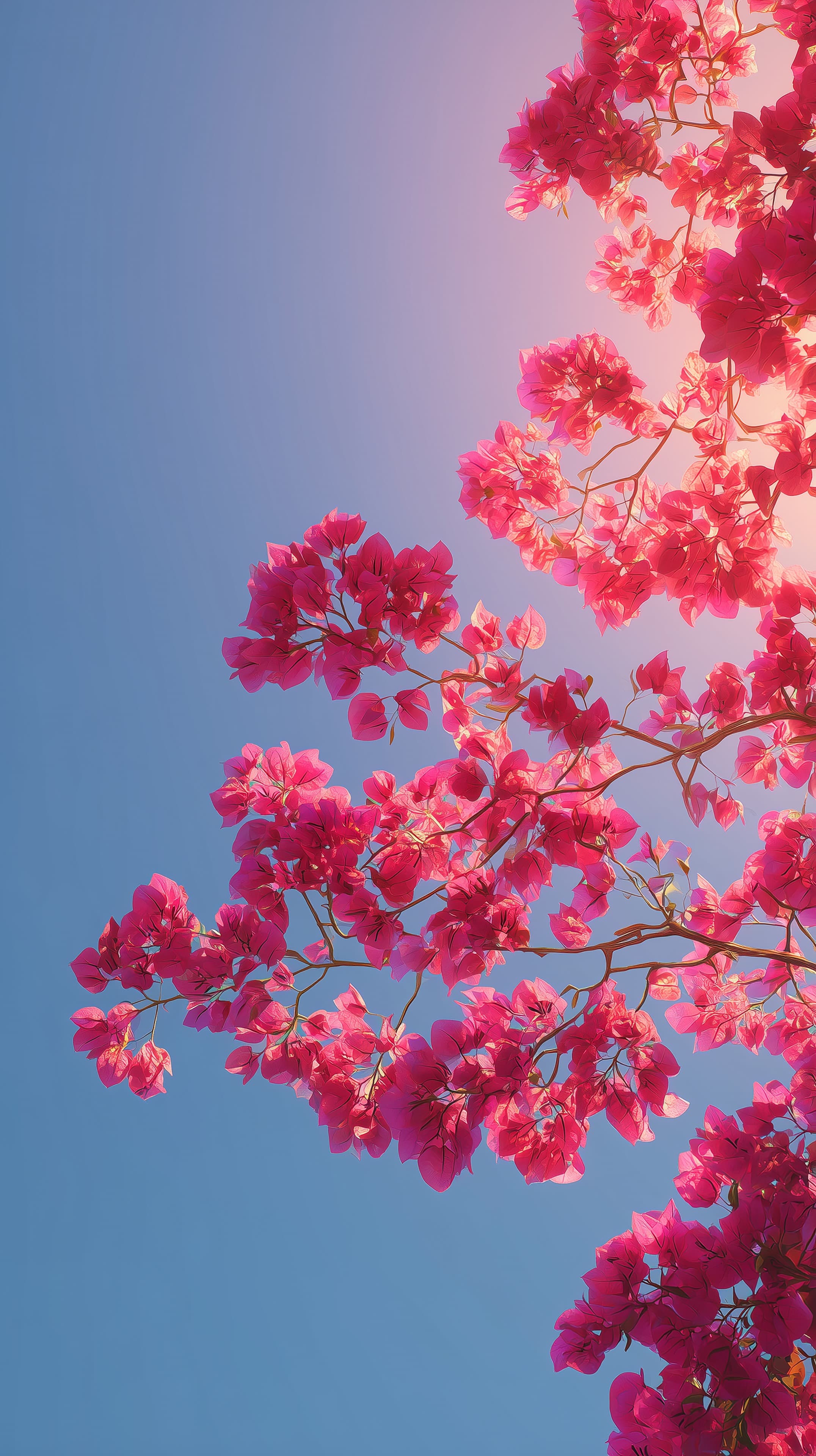 Pink Bougainvillea Blooms Under Clear Blue Sky Wallpaper - High Resolution blue-sky Wallpaper for Mobile and Desktop
