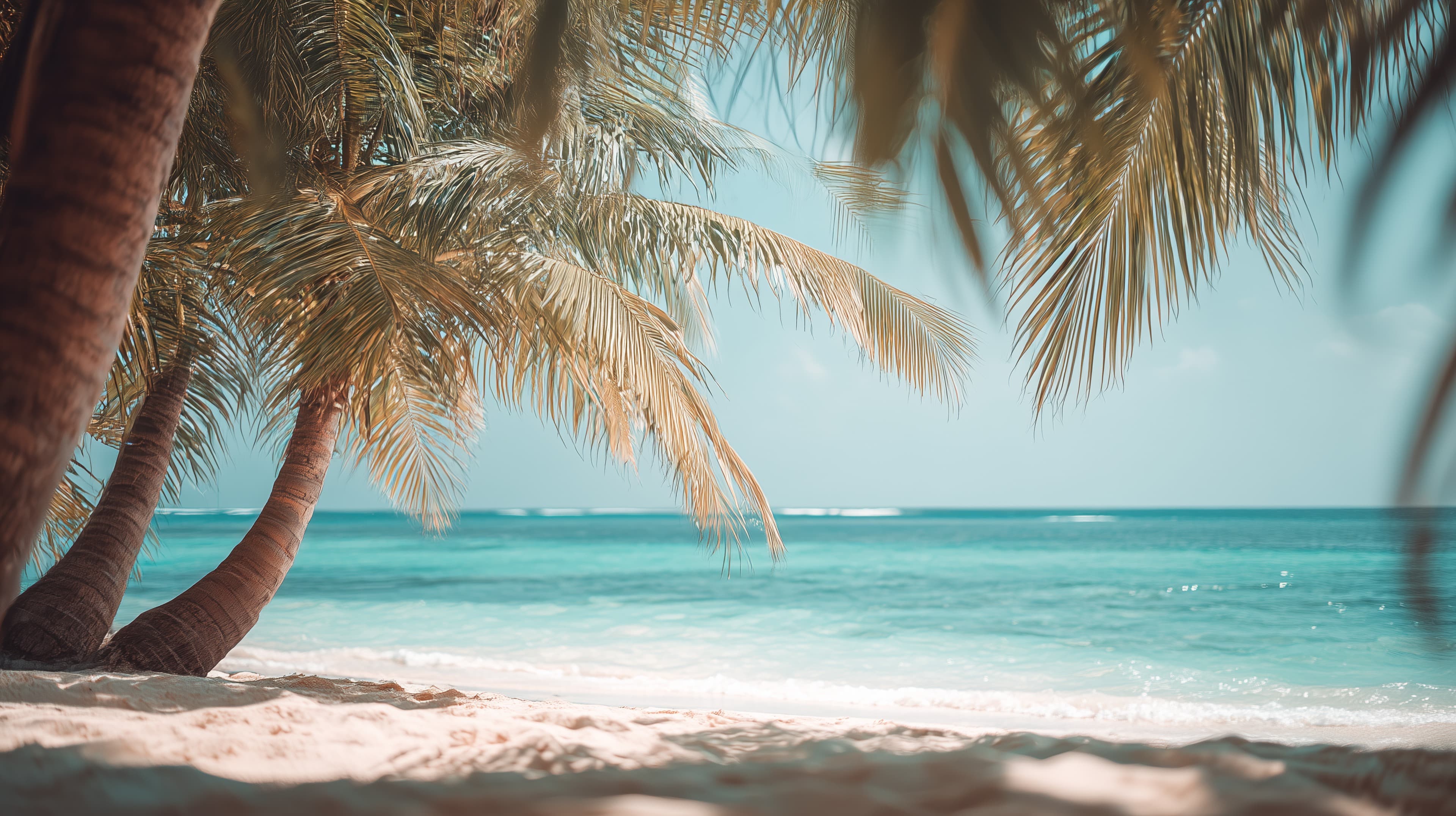 Tropical Beach Paradise: Palms, Sand and Turquoise Sea - High Resolution beach Wallpaper for Mobile and Desktop