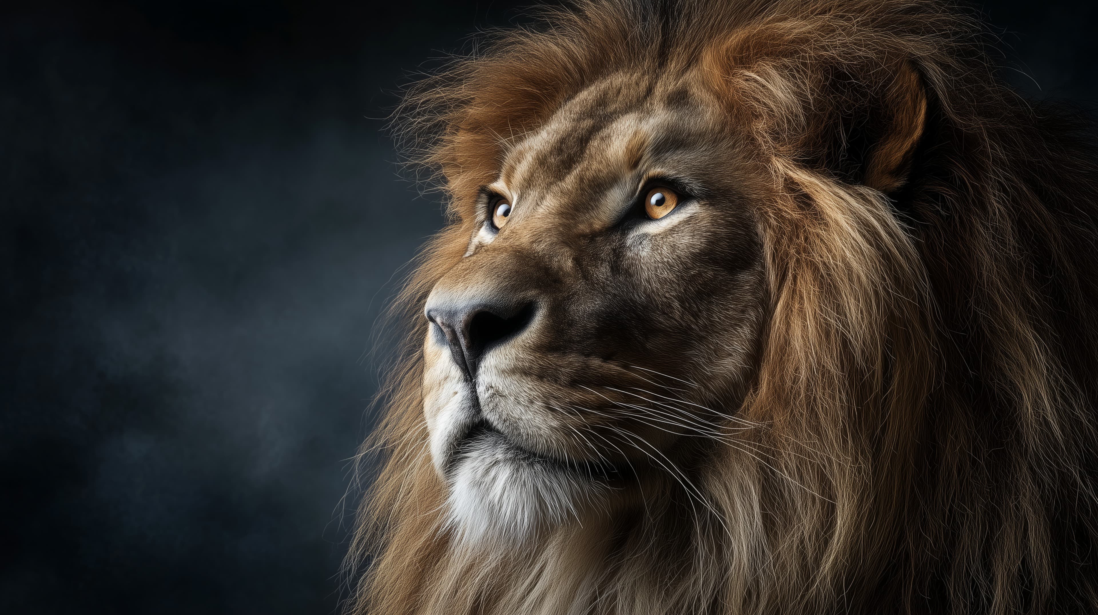 Majestic lion portrait with dramatic moody lighting - High Resolution lion-portrait Wallpaper for Mobile and Desktop