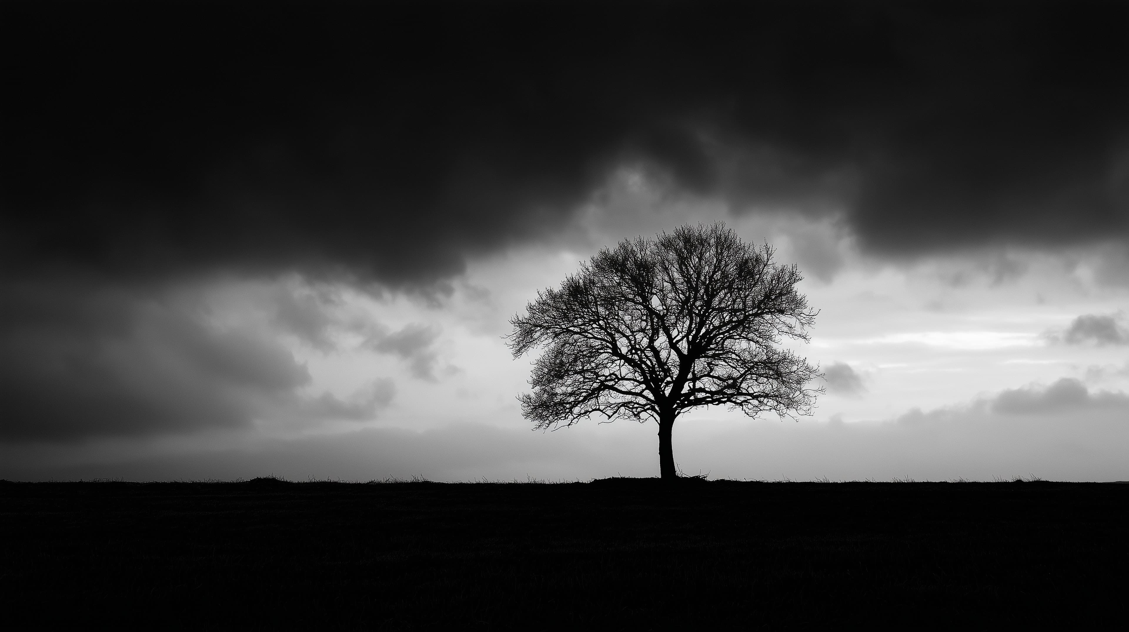 Solitary Tree Amid Stormy Sky: Moody Black & White Landscape - High Resolution solitary-tree Wallpaper for Mobile and Desktop