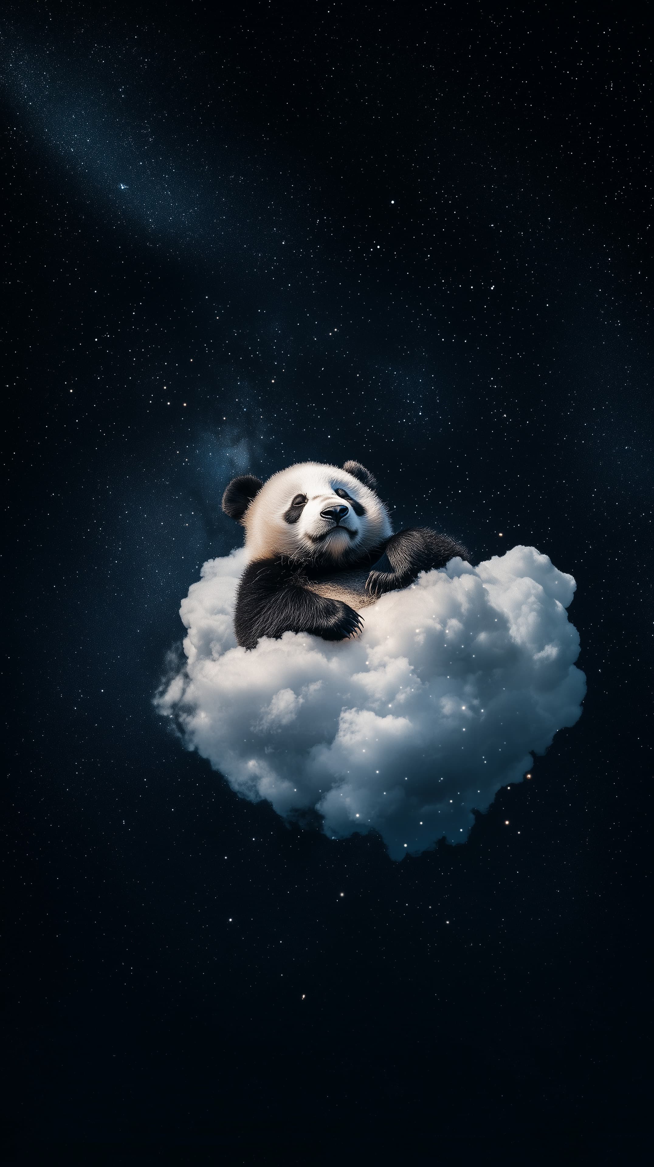 Dreamy Panda on a Cloud in a Deep Starry Night Sky - High Resolution cloud Wallpaper for Mobile and Desktop