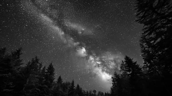 Milky Way Night Sky Over Silhouette Forest — Black & White - HD Wallpaper, 4k Background Image