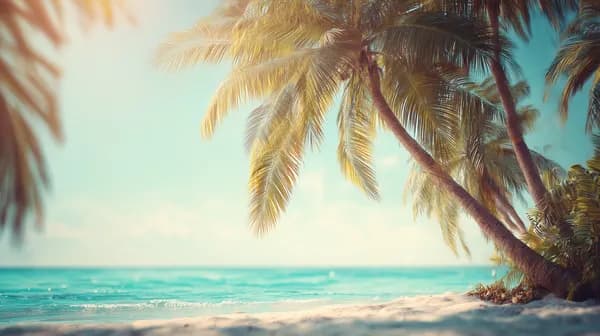 Tropical Beach Scene with Palm Trees Under Sunny Sky - Idyllic - HD Wallpaper, 4k Background Image