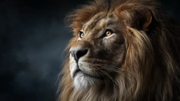 Majestic lion portrait with dramatic moody lighting - HD Wallpaper, 4k Background Image