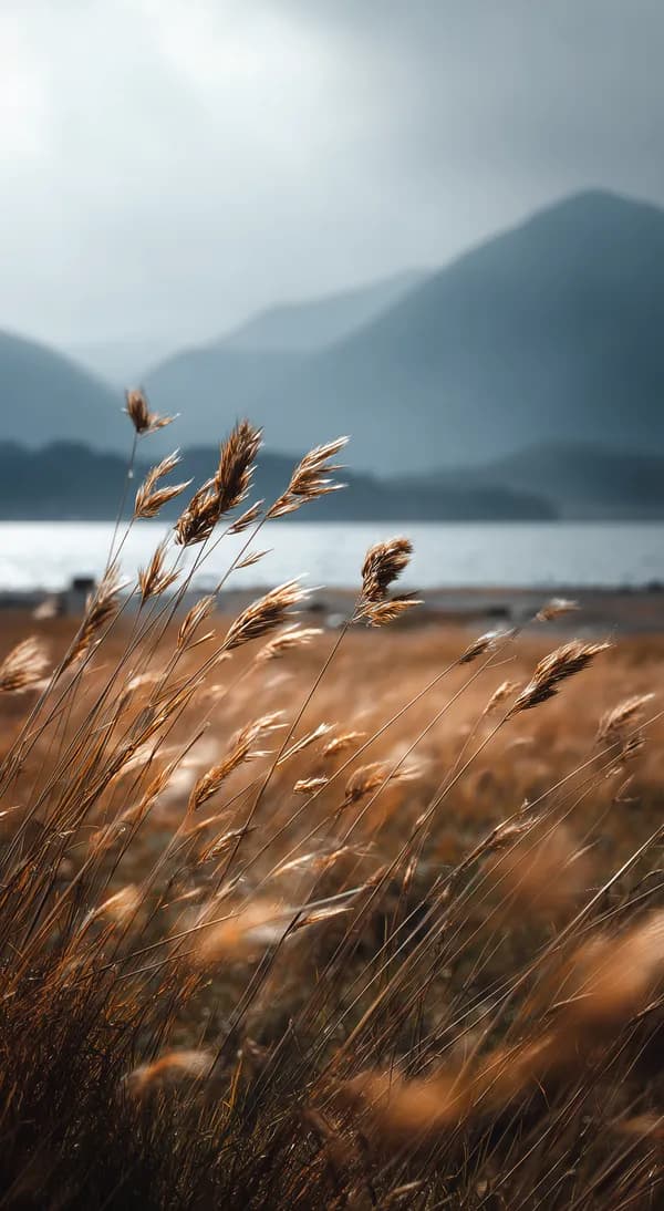 Golden Grass by a Tranquil Lake Under Misty Mountains - HD Wallpaper, 4k Background Image