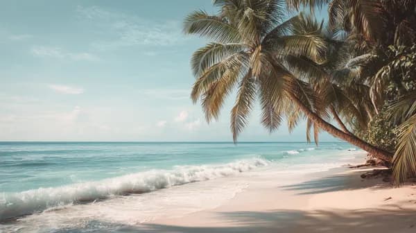 Tropical Beach Palm Trees and Turquoise Ocean Wallpaper - HD Wallpaper, 4k Background Image