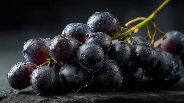 Dark Blue Grapes Macro Wallpaper with Water Droplets - HD Wallpaper, 4k Background Image