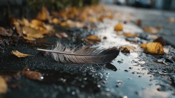 Autumn Feather on a Wet Street: Moody Puddle Scene - HD Wallpaper, 4k Background Image