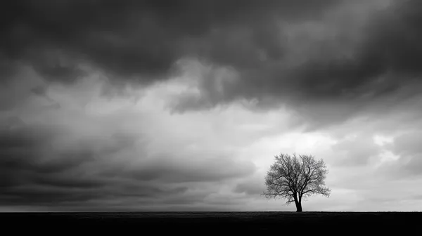 Monochrome lone tree under dramatic stormy sky wallpaper - HD Wallpaper, 4k Background Image