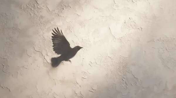 Silhouette of a Bird in Flight on Textured Wall Wallpaper - HD Wallpaper, 4k Background Image