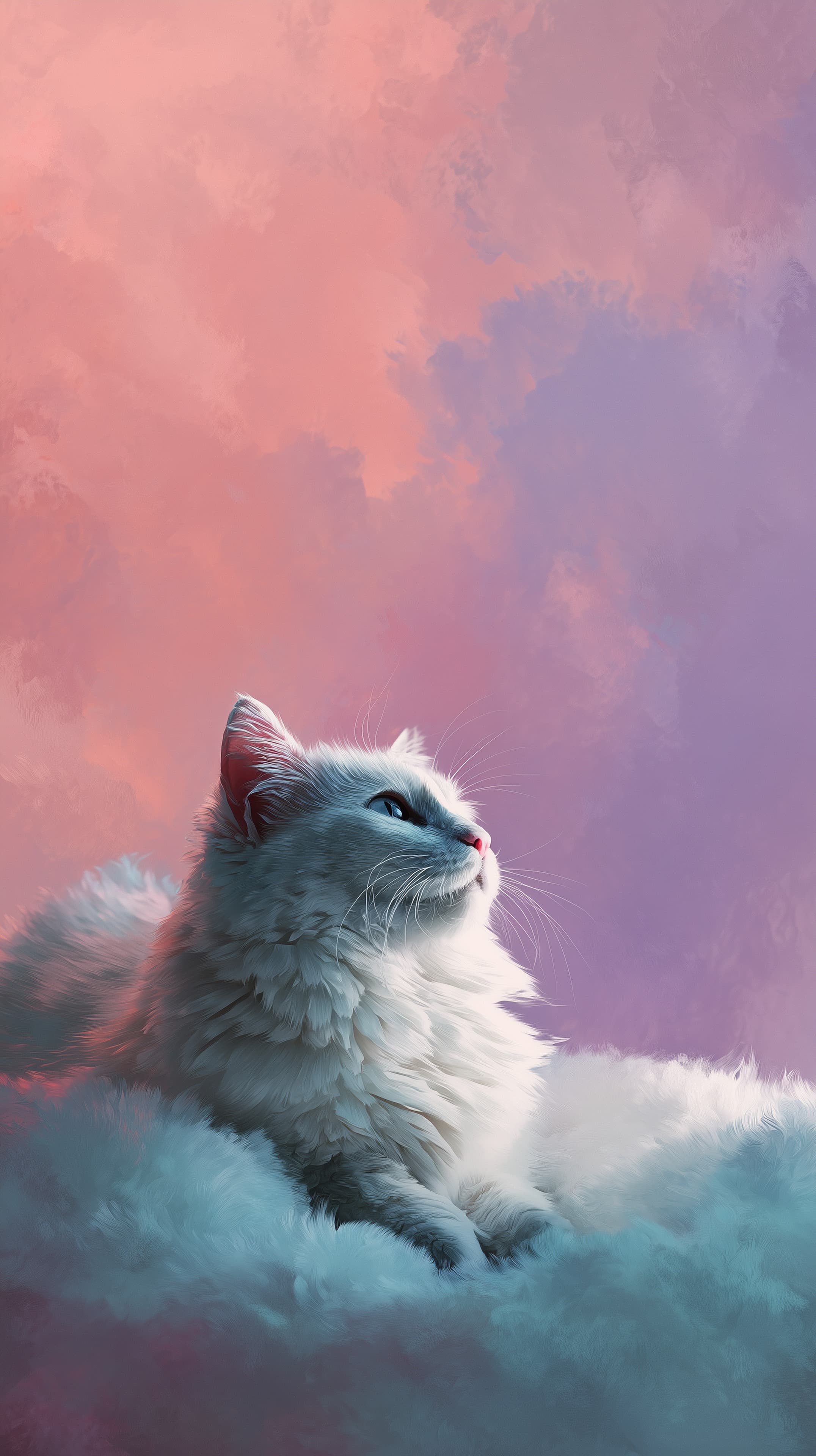 Pastel Sunset Cat Portrait – White Fluffy Wallpaper - High Resolution calming-wallpaper Wallpaper for Mobile and Desktop