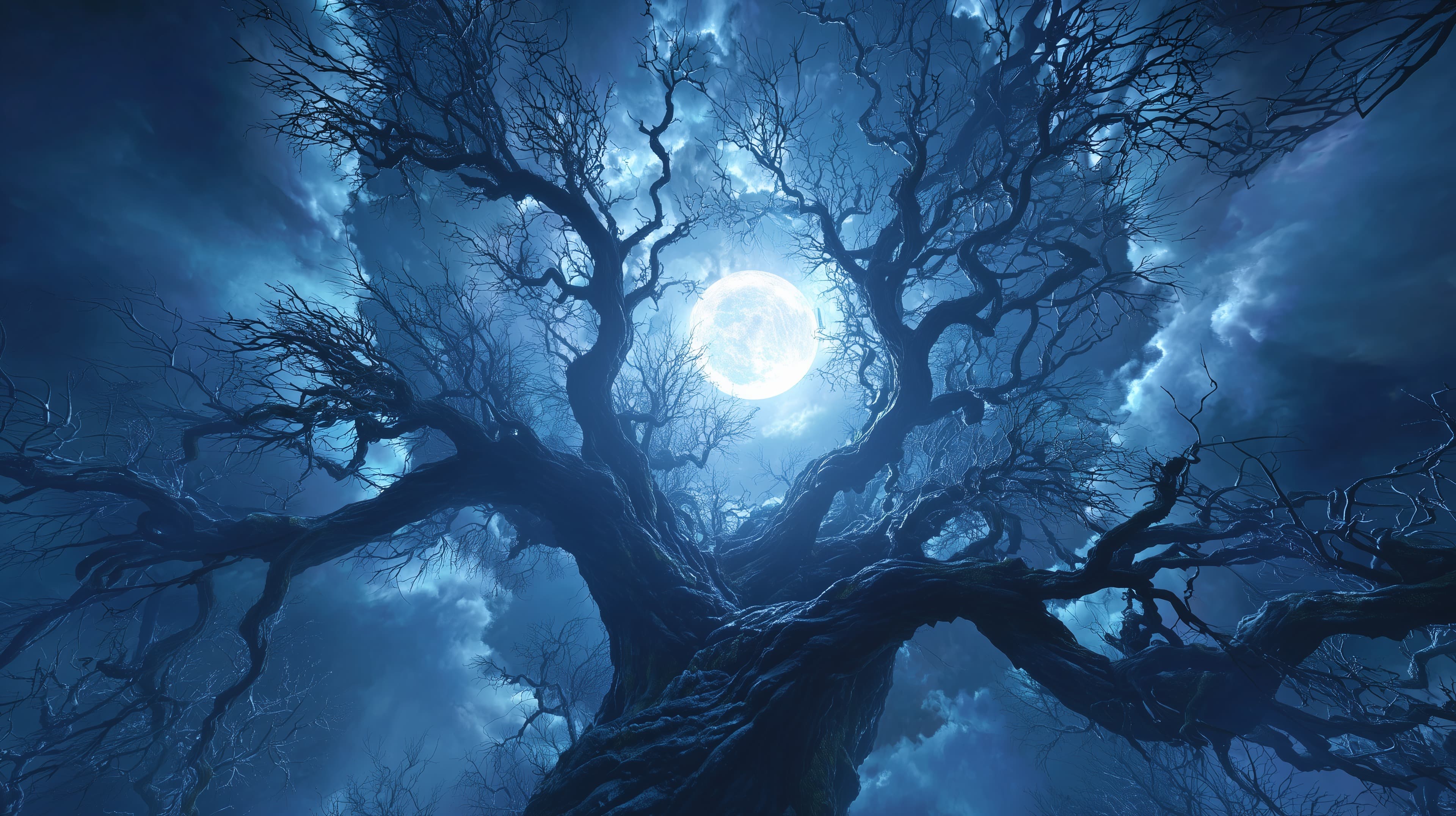 Moonlit Blue Night Scene with Ancient Tree Silhouette - High Resolution ancient-tree Wallpaper for Mobile and Desktop