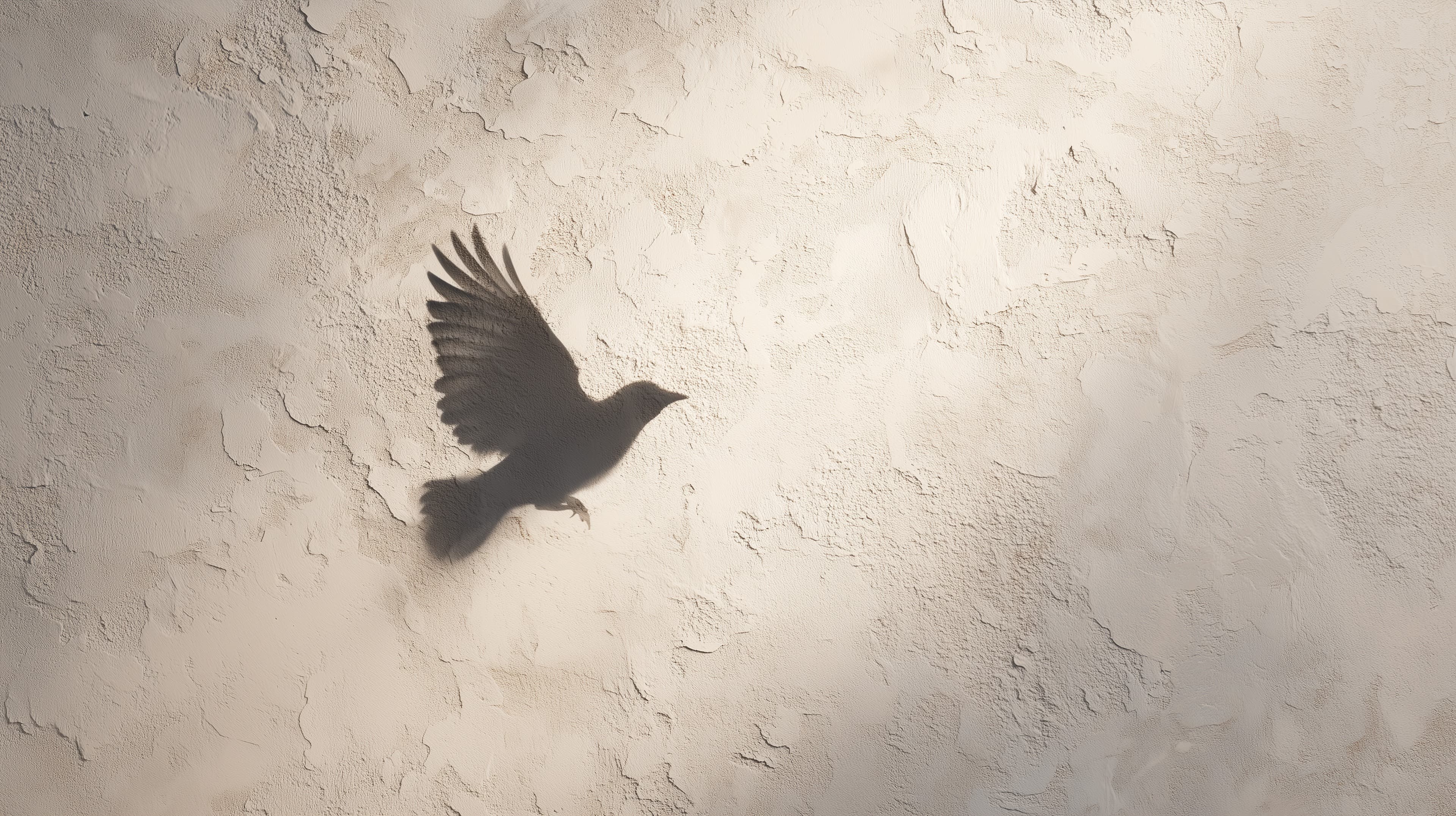 Silhouette of a Bird in Flight on Textured Wall Wallpaper - High Resolution silhouette Wallpaper for Mobile and Desktop