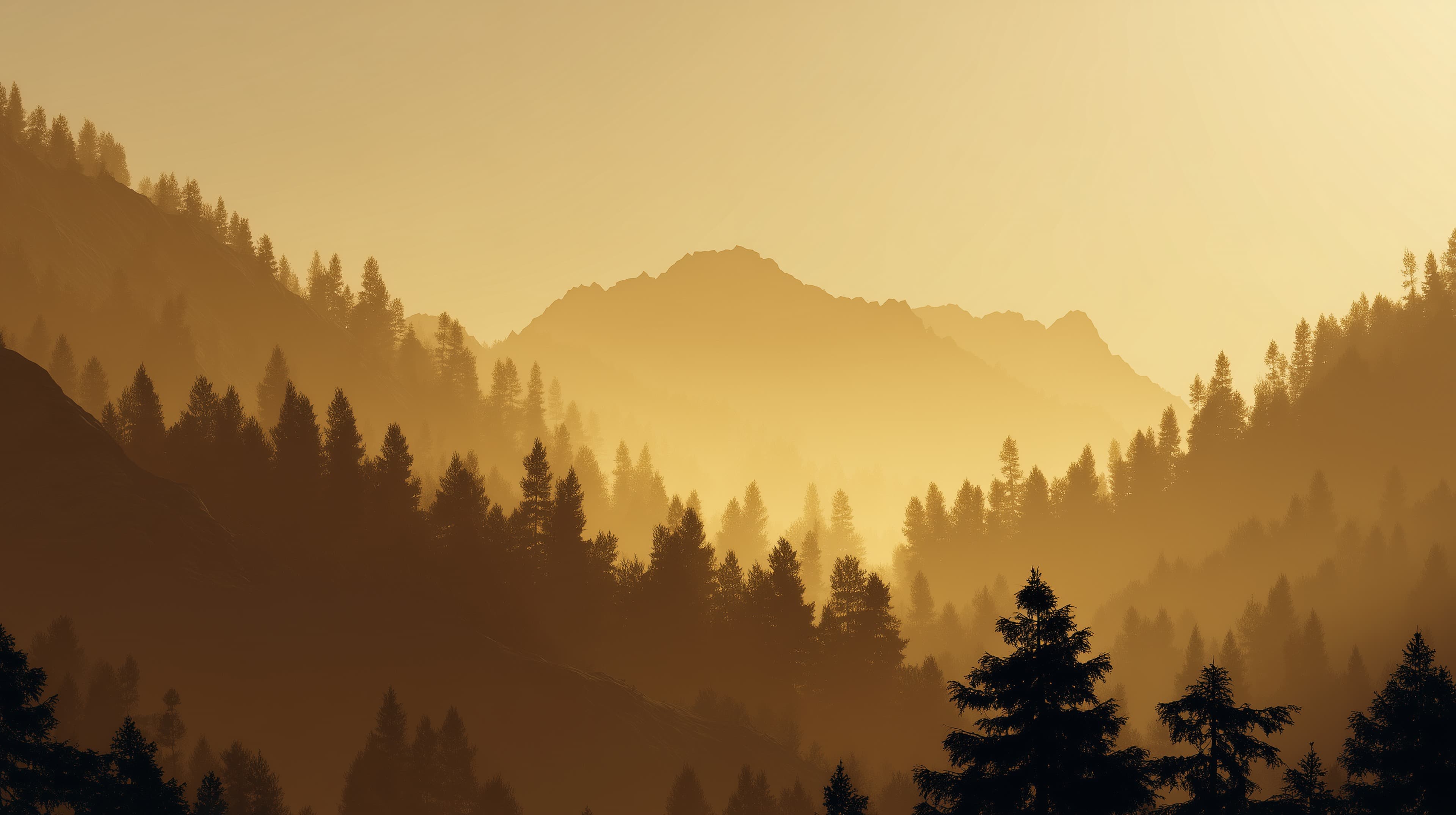 Golden Forest Sunrise Over Mountain Range - Warm Silhouette Wallpaper - High Resolution golden-hour Wallpaper for Mobile and Desktop